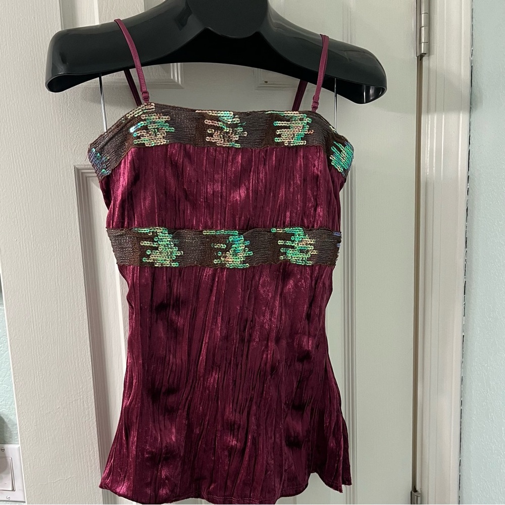 Elegant Crushed Velvet and Sequin Embellished Fushia and Brown Top